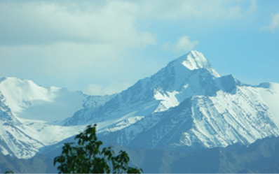 Crosses high passes like Rohtang La and Tanglang La.